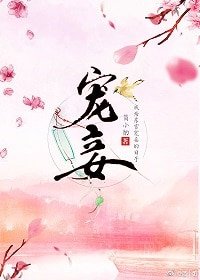 寵妾(作者:簡小酌)