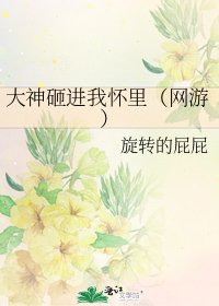 大神砸進我懷裏(網遊)